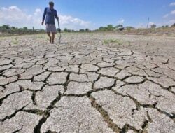 El Nino Berlangsung Hingga Akhir 2023, Sebabkan Iklim Lebih Kering